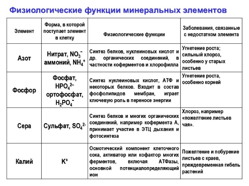 Физиологические функции минеральных элементов